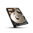 momentus xt main